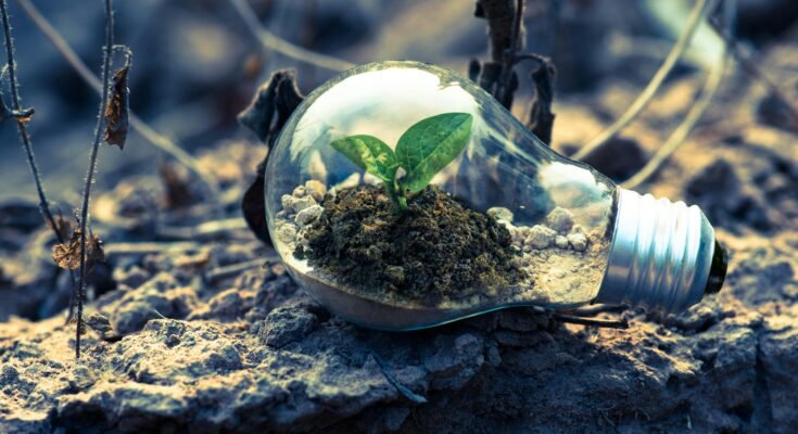 The Importance of the Natural Environment